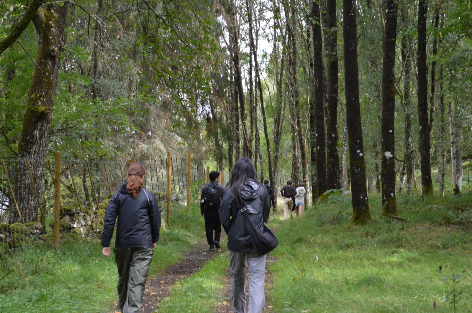 London Student Mission members walking together on a forest path